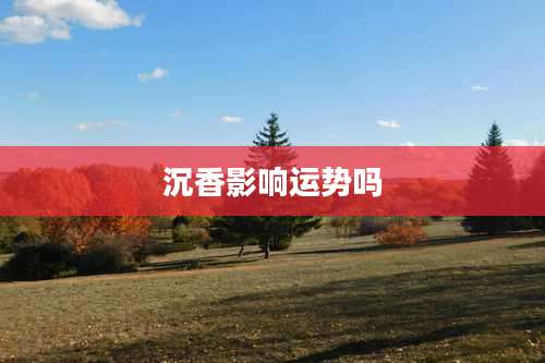 沉香影响运势吗