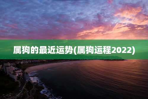 属狗的最近运势(属狗运程2022)
