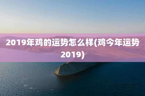 2019年鸡的运势怎么样(鸡今年运势2019)