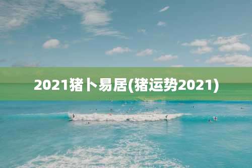 2021猪卜易居(猪运势2021)