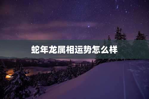 蛇年龙属相运势怎么样