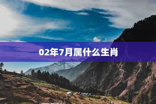 02年7月属什么生肖