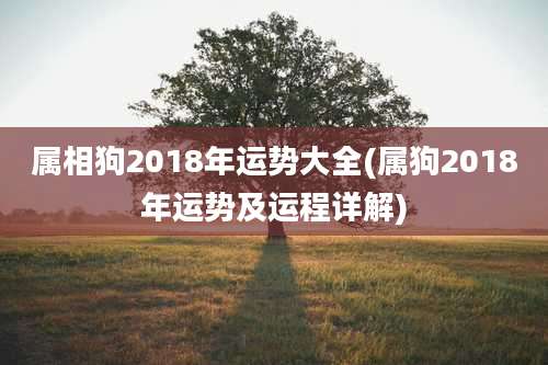 属相狗2018年运势大全(属狗2018年运势及运程详解)
