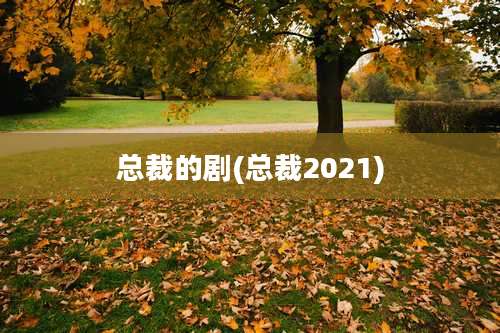 总裁的剧(总裁2021)