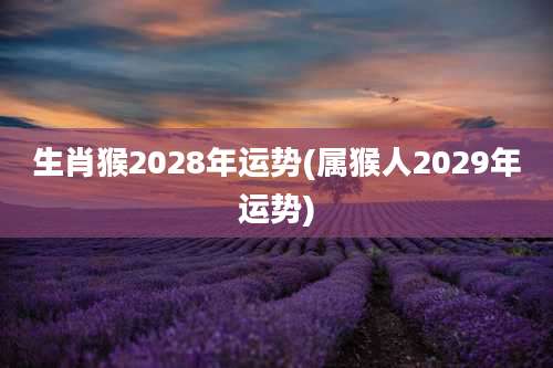 生肖猴2028年运势(属猴人2029年运势)