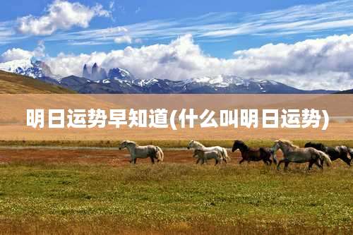 明日运势早知道(什么叫明日运势)