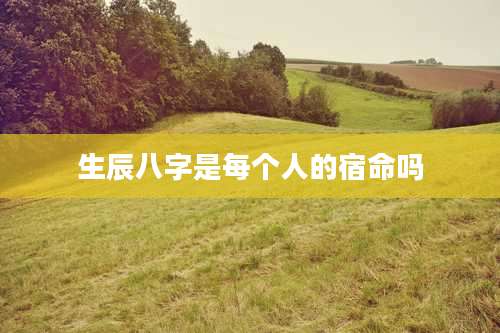 生辰八字是每个人的宿命吗