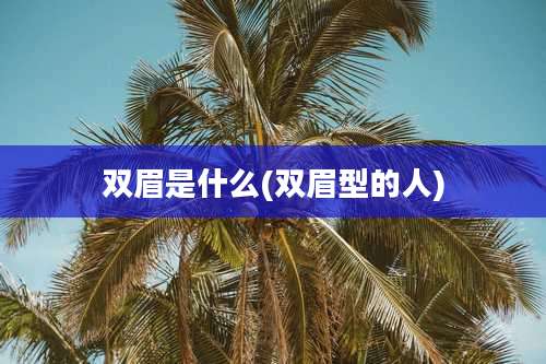 双眉是什么(双眉型的人)