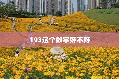 193这个数字好不好