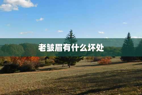 老皱眉有什么坏处