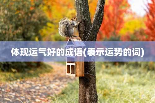 体现运气好的成语(表示运势的词)