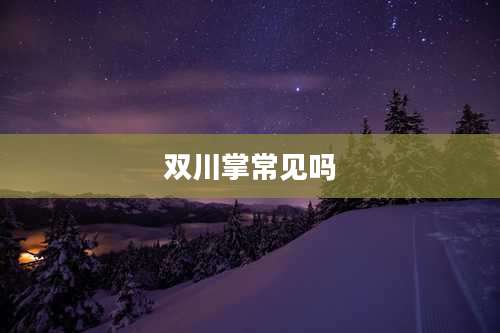 双川掌常见吗