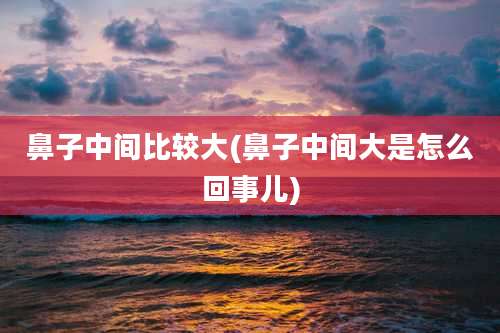 鼻子中间比较大(鼻子中间大是怎么回事儿)