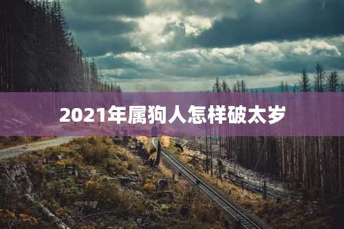 2021年属狗人怎样破太岁