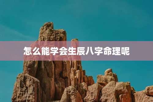 怎么能学会生辰八字命理呢