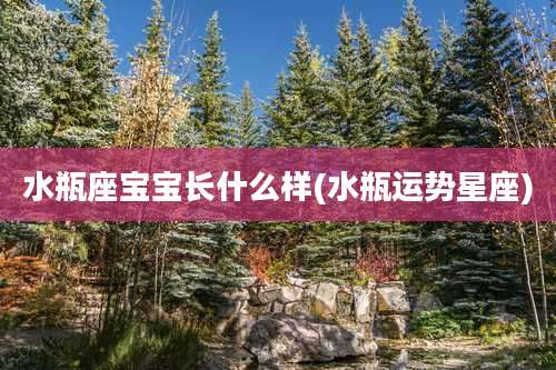 水瓶座宝宝长什么样(水瓶运势星座)