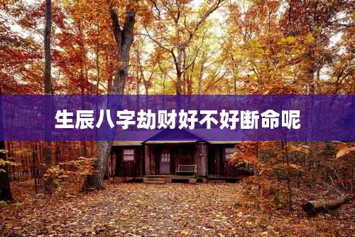 生辰八字劫财好不好断命呢