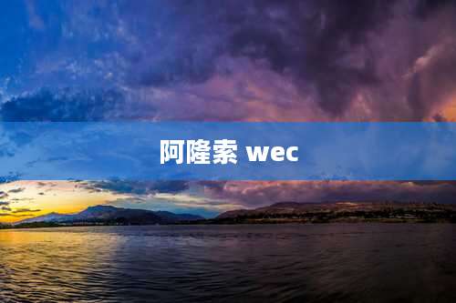 阿隆索 wec