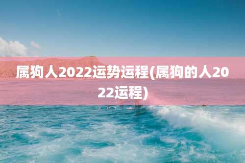 属狗人2022运势运程(属狗的人2022运程)