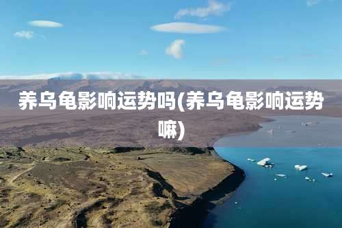 养乌龟影响运势吗(养乌龟影响运势嘛)