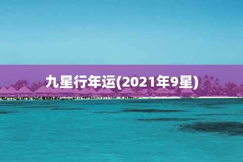 九星行年运(2021年9星)