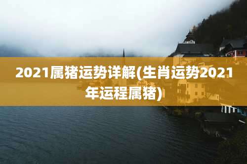 2021属猪运势详解(生肖运势2021年运程属猪)