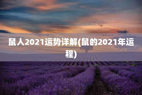 鼠人2021运势详解(鼠的2021年运程)