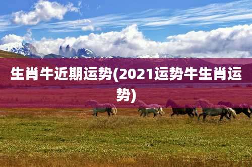 生肖牛近期运势(2021运势牛生肖运势)
