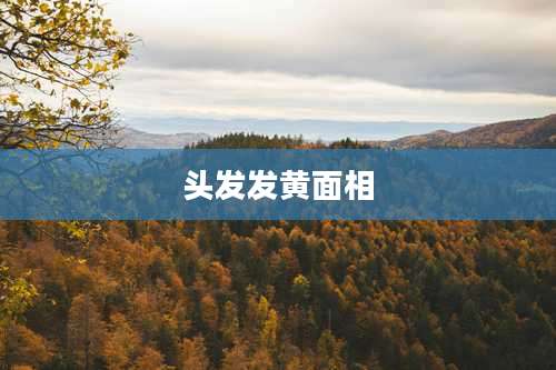 头发发黄面相