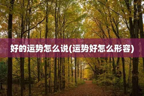 好的运势怎么说(运势好怎么形容)