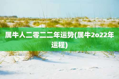 属牛人二零二二年运势(属牛2o22年运程)