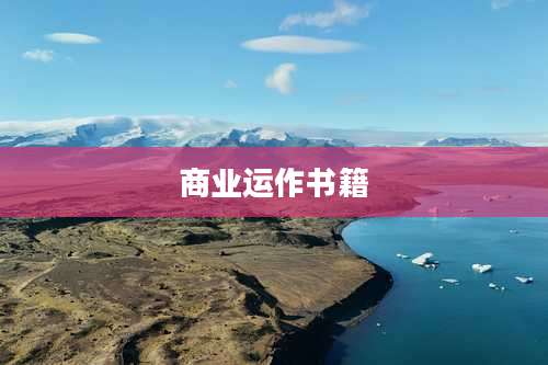 商业运作书籍
