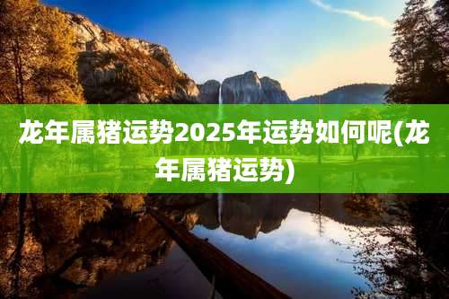 龙年属猪运势2025年运势如何呢(龙年属猪运势)
