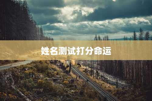 姓名测试打分命运