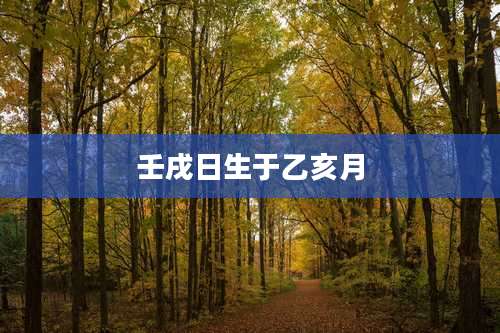 壬戌日生于乙亥月