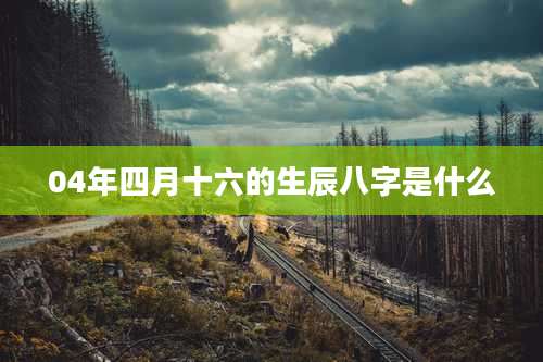 04年四月十六的生辰八字是什么