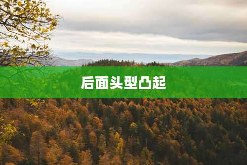 后面头型凸起