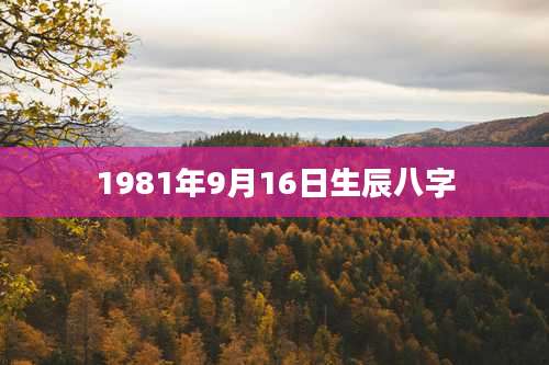 1981年9月16日生辰八字