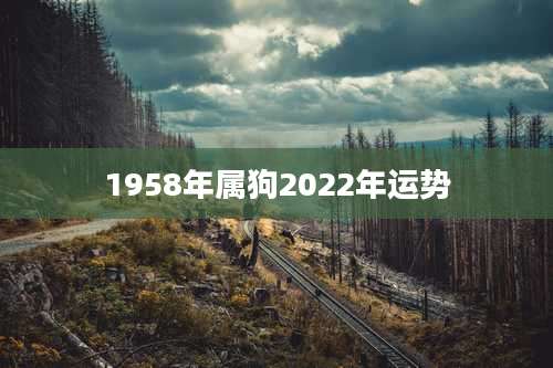 1958年属狗2022年运势