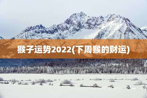 猴子运势2022(下周猴的财运)