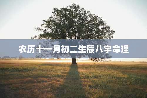 农历十一月初二生辰八字命理