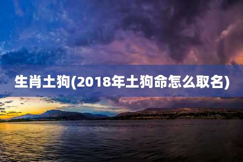 生肖土狗(2018年土狗命怎么取名)