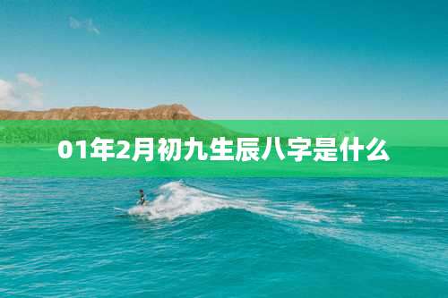 01年2月初九生辰八字是什么