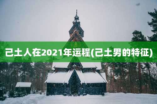 己土人在2021年运程(己土男的特征)