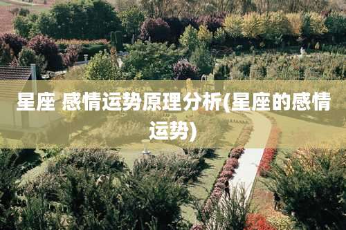 星座 感情运势原理分析(星座的感情运势)