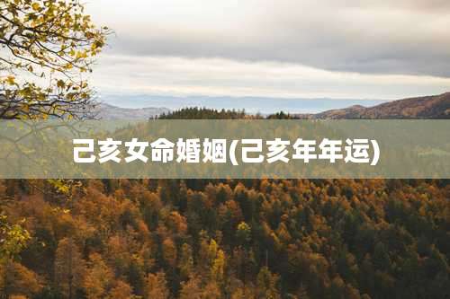 己亥女命婚姻(己亥年年运)