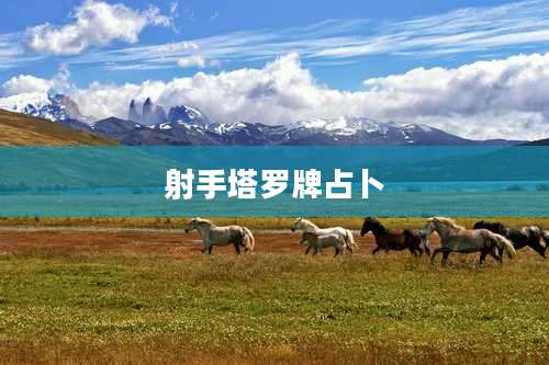 射手塔罗牌占卜