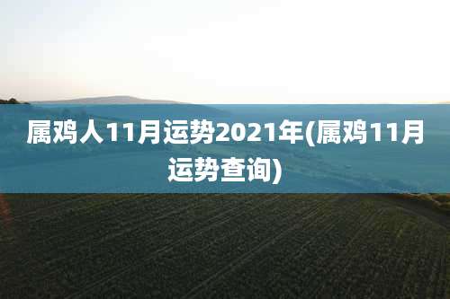 属鸡人11月运势2021年(属鸡11月运势查询)