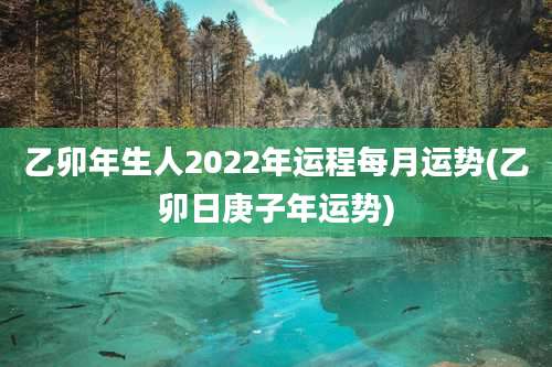 乙卯年生人2022年运程每月运势(乙卯日庚子年运势)