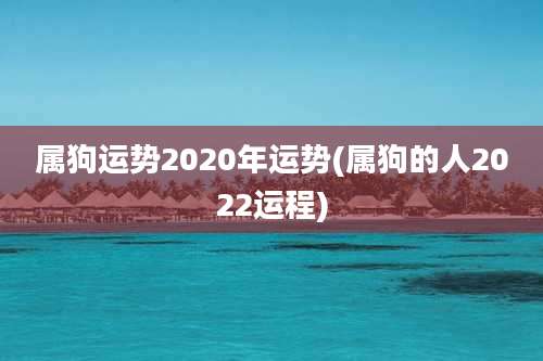 属狗运势2020年运势(属狗的人2022运程)